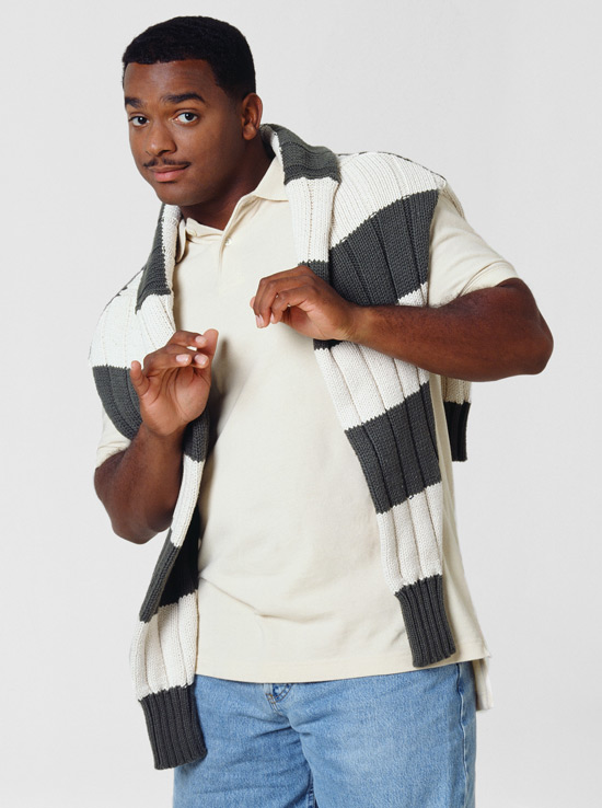 Alfonso Ribeiro as Carlton Bank...
