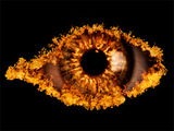 Celebrity Big Brother 7 logo