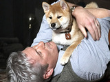Hachi: A Dog's Tale