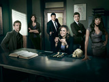 The cast of Bones