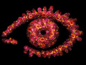 Talks to bring Big Brother to Channel 5 are believed to be at "an advanced stage".