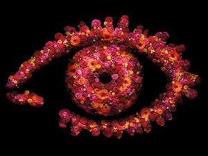 Big Brother 11 logo