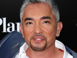 Dog Whisperer, Cesar Millan