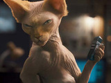 Cats & Dogs: The Revenge Of Kitty Galore