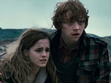 Hermione and Ron from Harry Potter And The Deathly Hallows