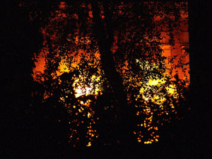 EastEnders Fire