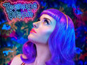 Katy Perry 'Teenage Dream'