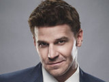 David Boreanaz as Seeley Booth in Bones