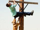 Still from Jackass 3D