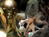 Paul the psychic octopus