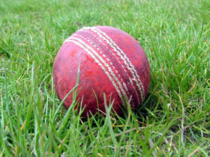 A cricket ball