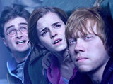 Harry, Hermione and Ron from 'Harry Potter and the Deathly Hallows Part 2'