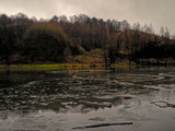 Pond