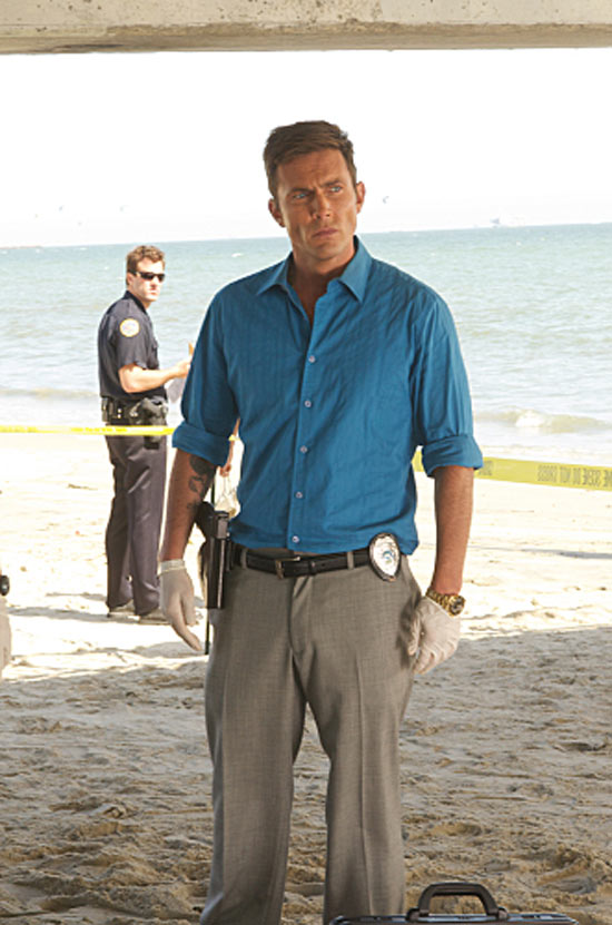 Desmond Harrington as Joey Quinn