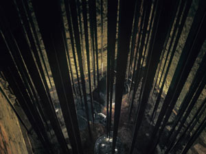 Dark Souls