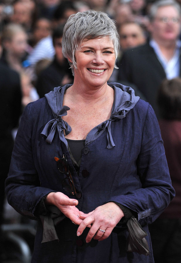 Kelly McGillis at the premiere for last year's blockbuster Prince of Persia
