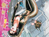 The New 52 - Catwoman