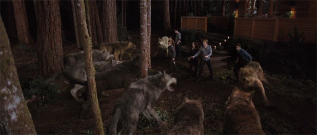 Wolves vs. vamps. Which side are you on
