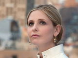 Sarah Michelle Geller as Siobhan Martin/Bridget Kelly on Ringer
