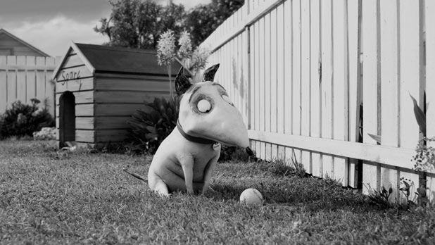 Tim Burton's 'Frankenweenie': Sparky still