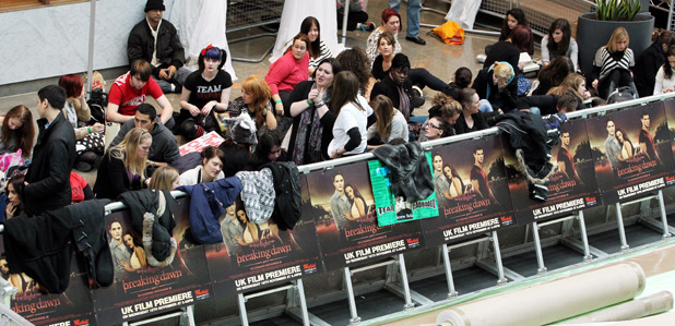 <em>Twilight</em> fans 