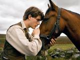 Albert Narracott (Jeremy Irvine), Joey the horse, War Horse