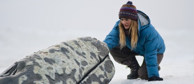Big Miracle, Drew Barrymore