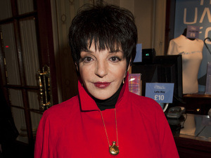 lisa minelli lisa minelli