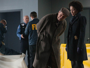 Fringe S04E16: 'Nothing as it Seems'