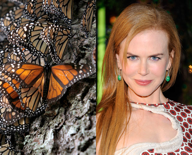 Nicole Kidman