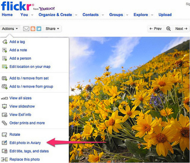 Flickr Editor Still
