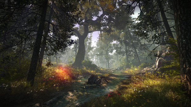 'The Witcher 2: Assassin's of Kings' screenshot