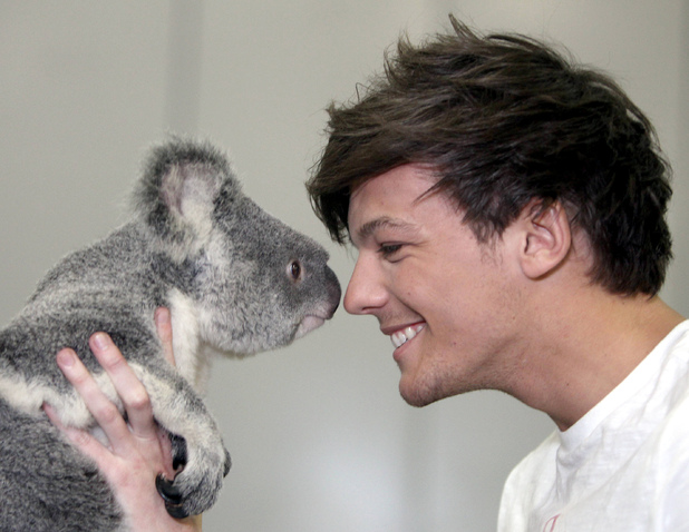 Louis Tomlinson  