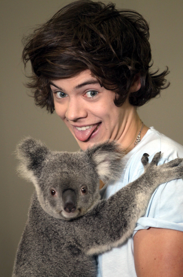 Harry Styles cuddles up to a koala in Brisbane
