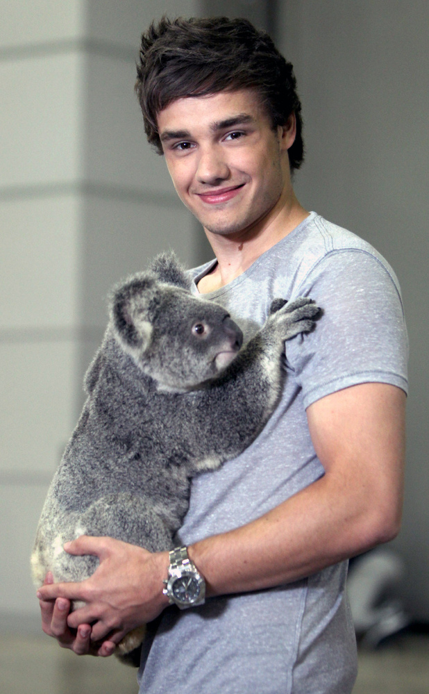 Liam Payne 