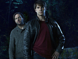 Grimm S01E20: 'Happily Ever Aftermath'