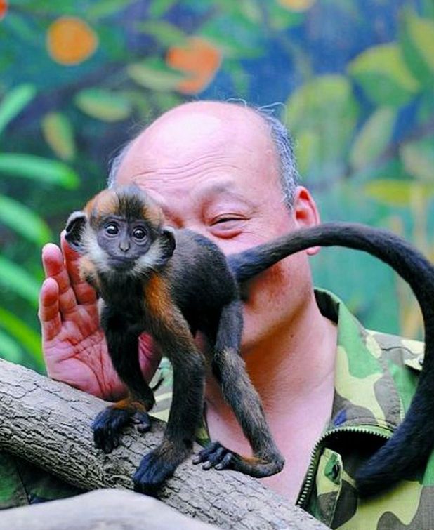 Zoo keeper and monkey