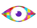 Big Brother Summer 2012 Logo