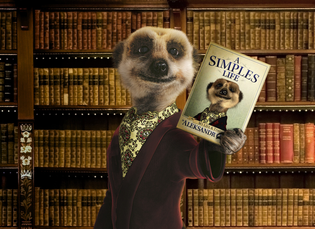 Meerkat Aleksandr Orlov with his book A Simples Life