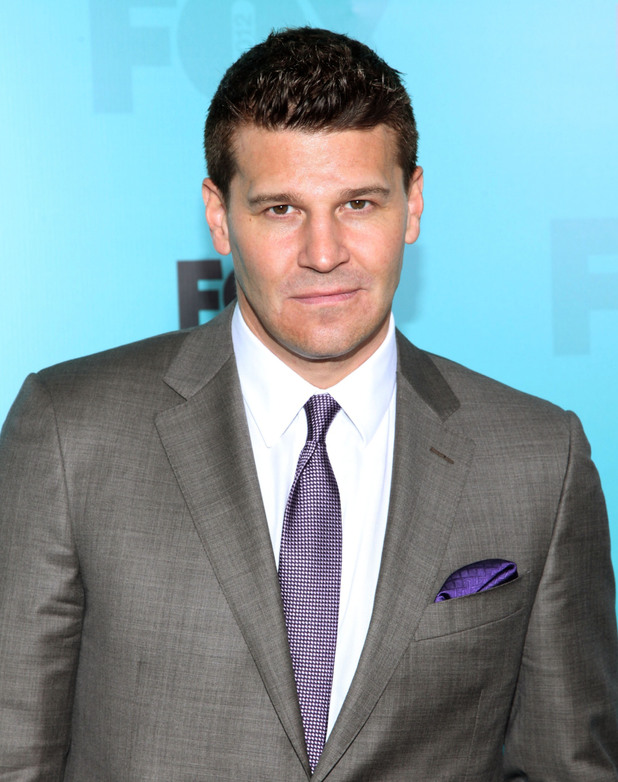 David Boreanaz            