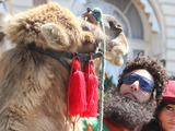 The Dictator falls off a camel at Cannes Film Festival