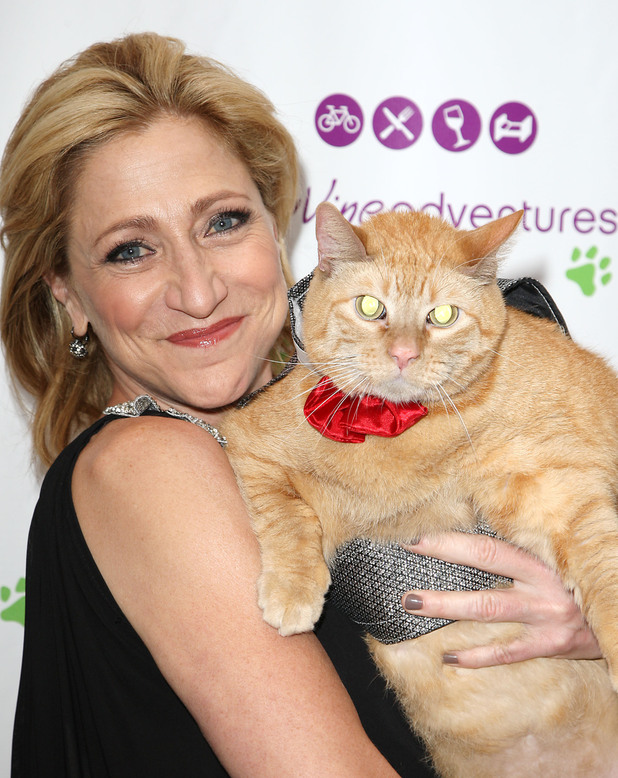 Edie Falco