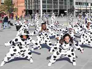 Boadicea as flashmob cows