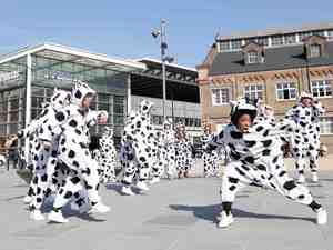 Boadicea as flashmob cows