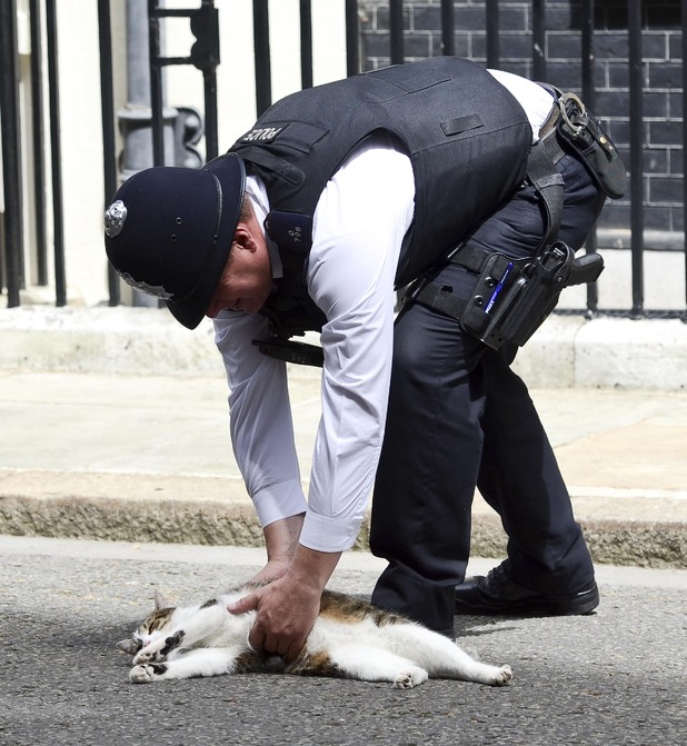 A policeman and Larry the cat