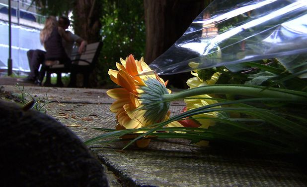 Will drops his flowers when he sees Ash and Ally together.