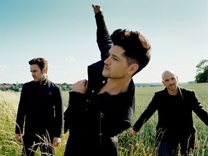 The Script