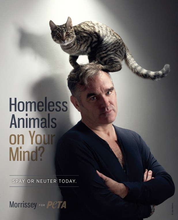 Morrissey with a cat on his head, for PETA