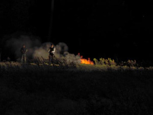 'DayZ' screenshot