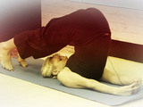 Day 2: Samantha does some Yoga